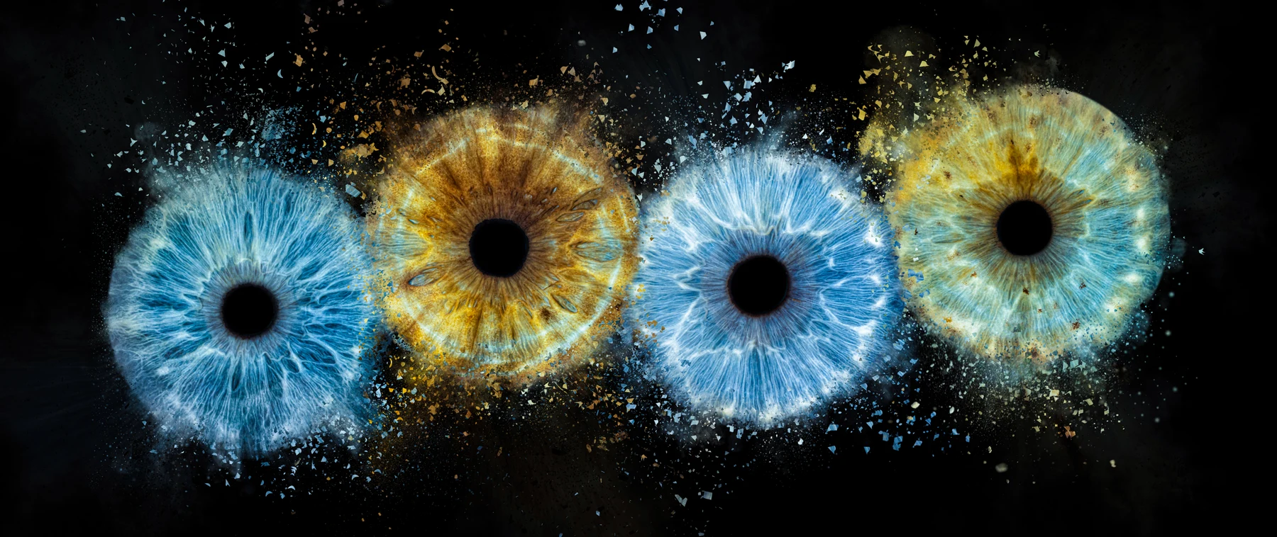 Vier Iriden · verbunden durch Farbe